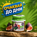 вокдкогдфкогпдффг